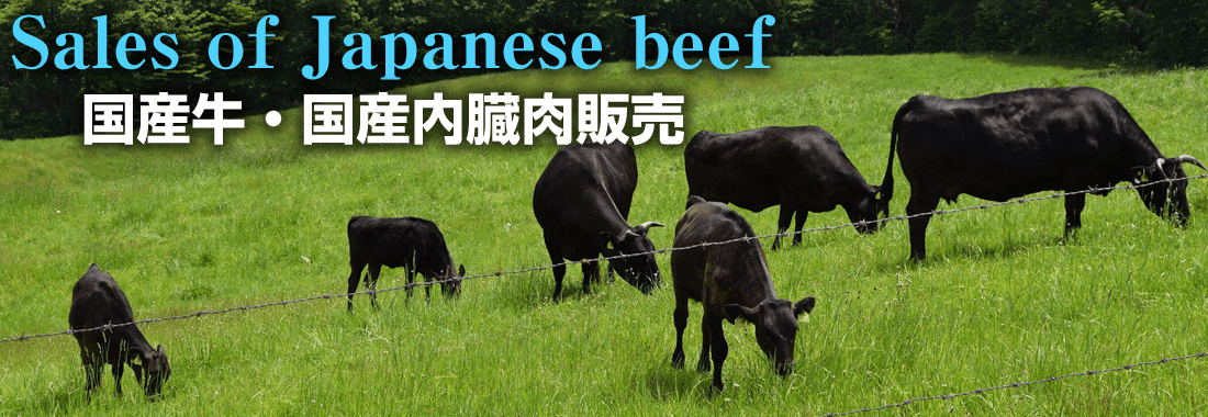 国産牛肉・国産内臓肉販売｜株式会社スエヒロ食品