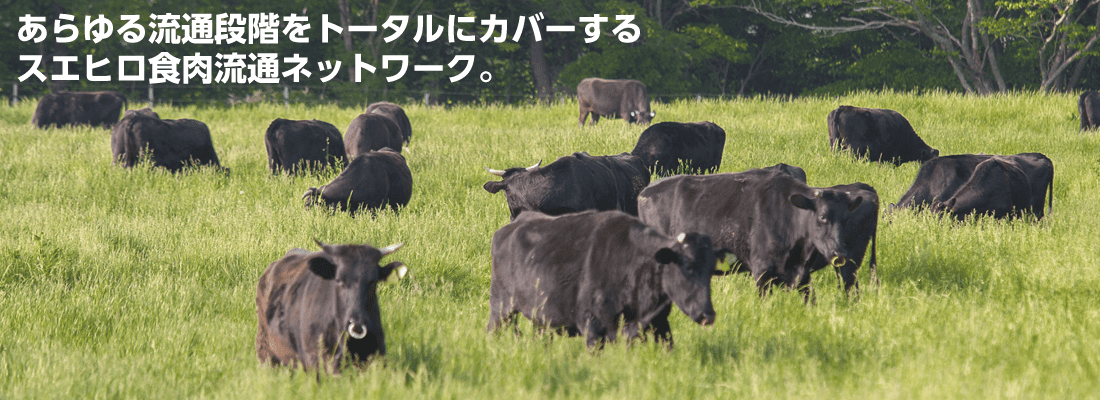 株式会社スエヒロ食品｜事 業 内 容